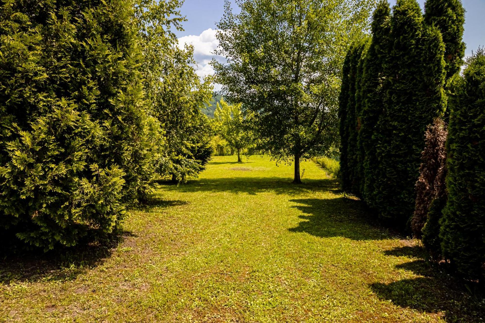 Holiday Home Avita Bihać エクステリア 写真
